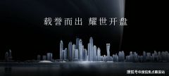 当前片区仅有金洲病院（二甲）等基